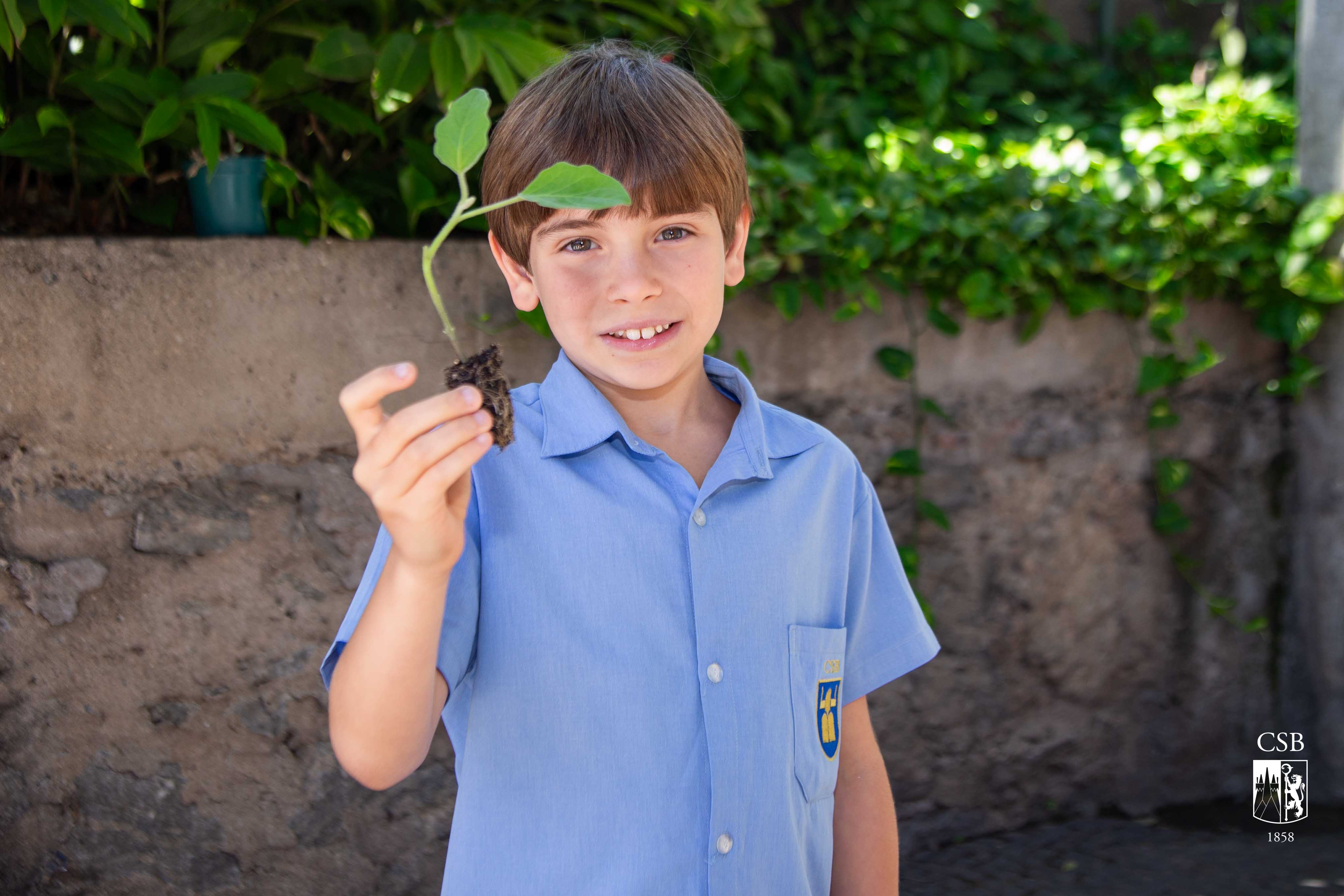 3º ano EF aprende sobre plantio e colheita em aula de Educação Ambiental